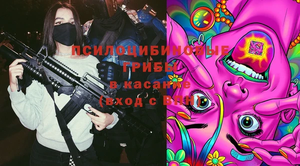 дживик Аркадак