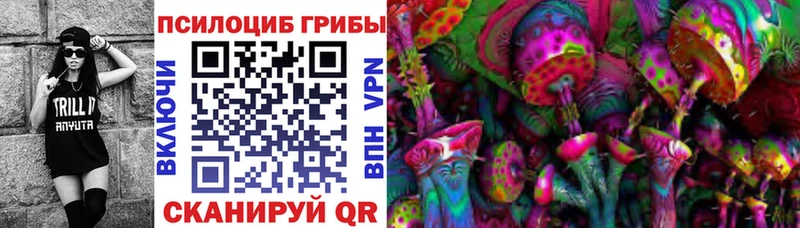 Купить  Староминская  Псилоцибиновые грибы Psilocybe 